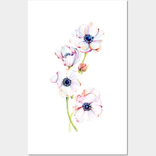 Asymmetrical Anemones Posters and Art